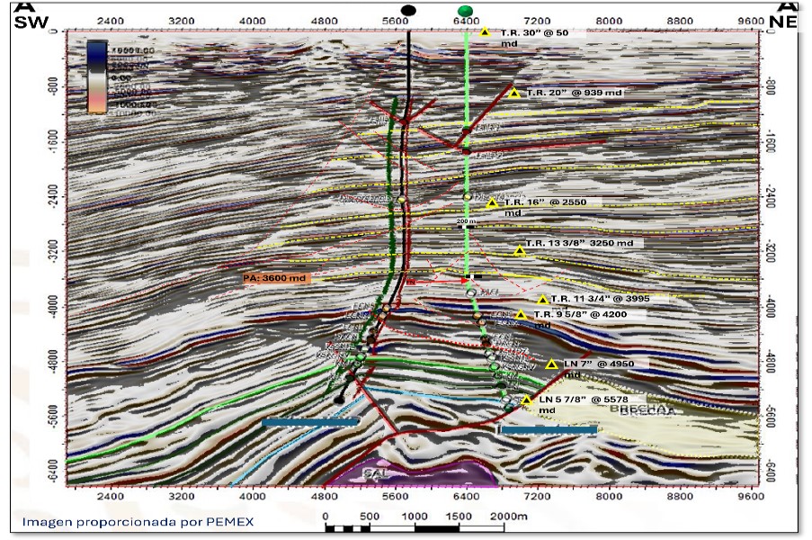 Seismic section with identified risk zones