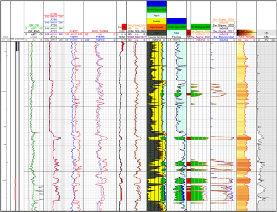 Reservoir Analysis Sonde tool