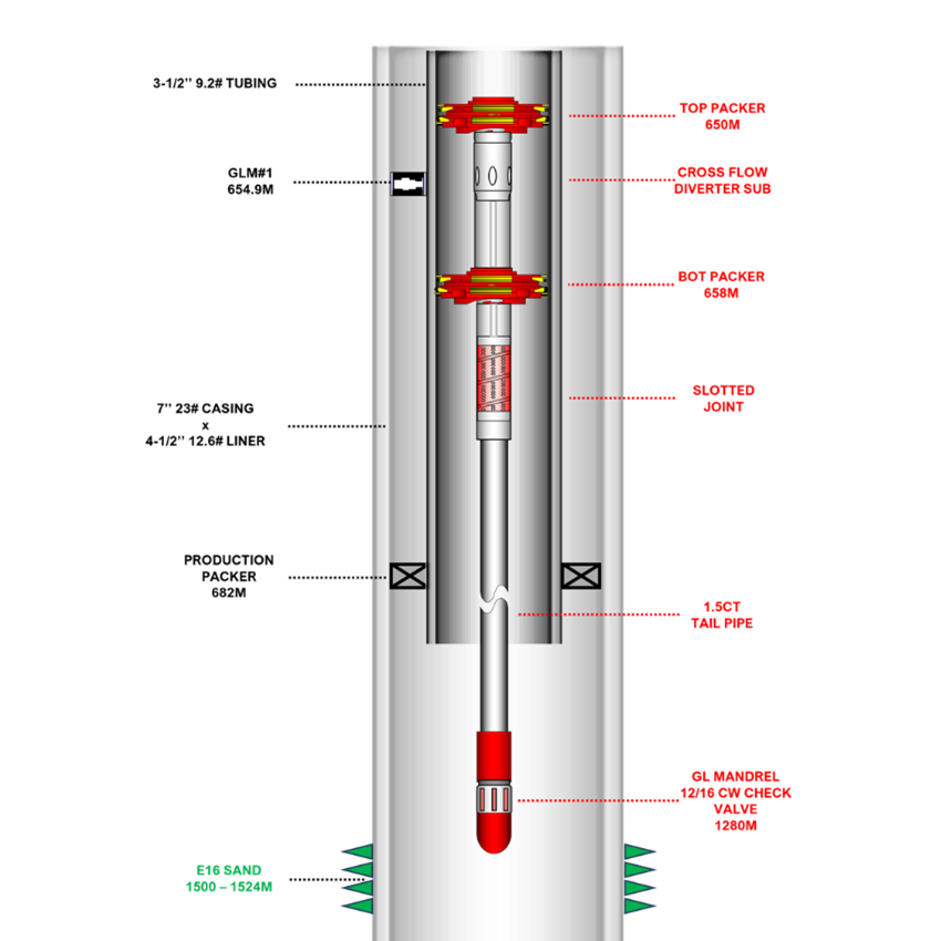 WidePak deep gas lift system