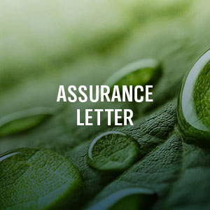 Key Section Assurance Letter
