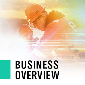 Key Section Business Overview