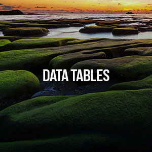 Data Tables