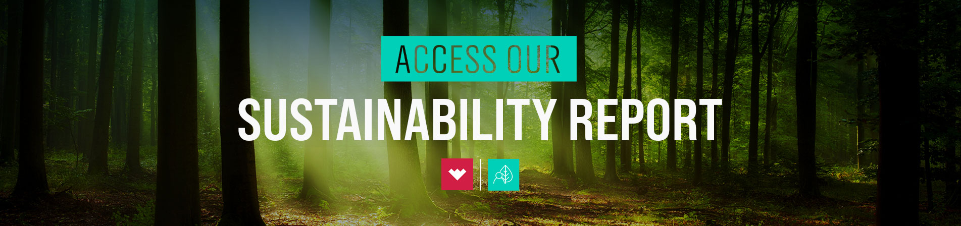 Access the 2025 Sustainability Report 