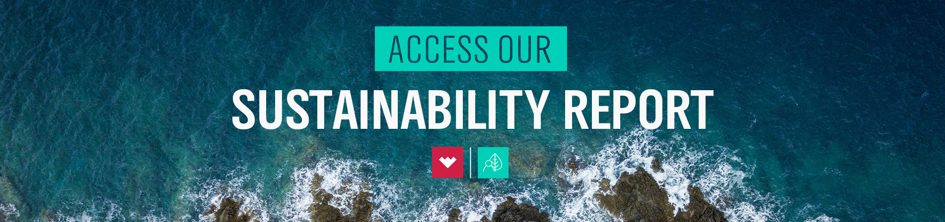 Access the 2024 Sustainability Report 