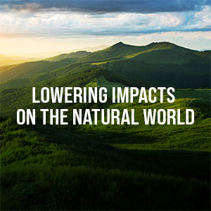 Lowering Impacts on the Natural Wolrd 
