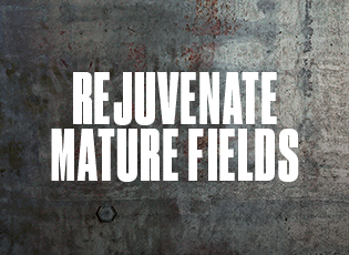 Rejuvenate Mature Fields