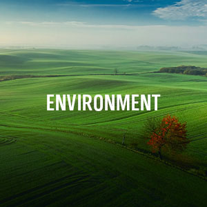 Key Section Environment
