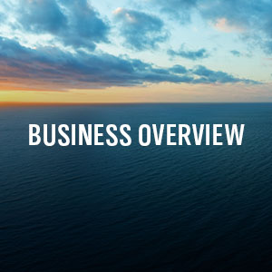 Key Section Business Overview