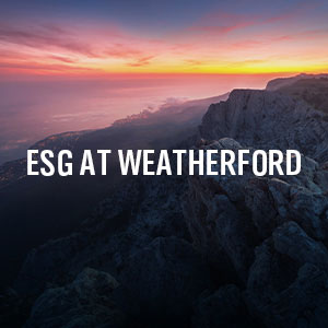 Key Section ESG at WFRD