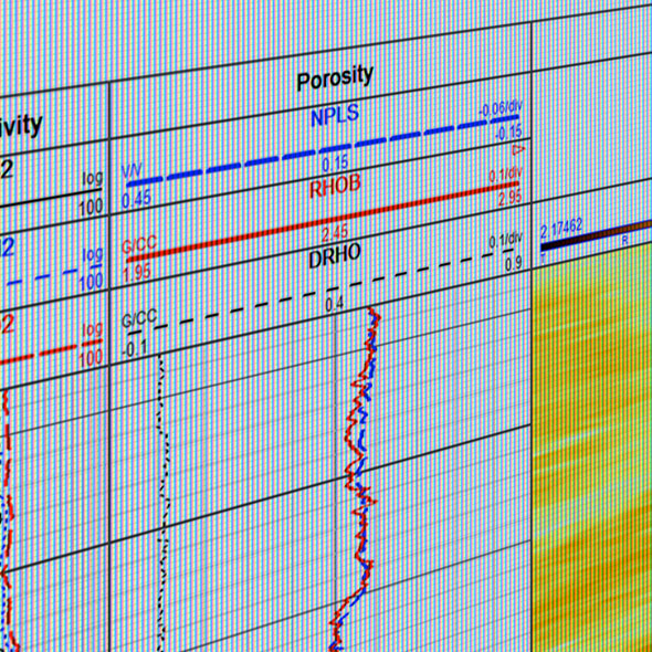 Azimuthal Neutron Logging